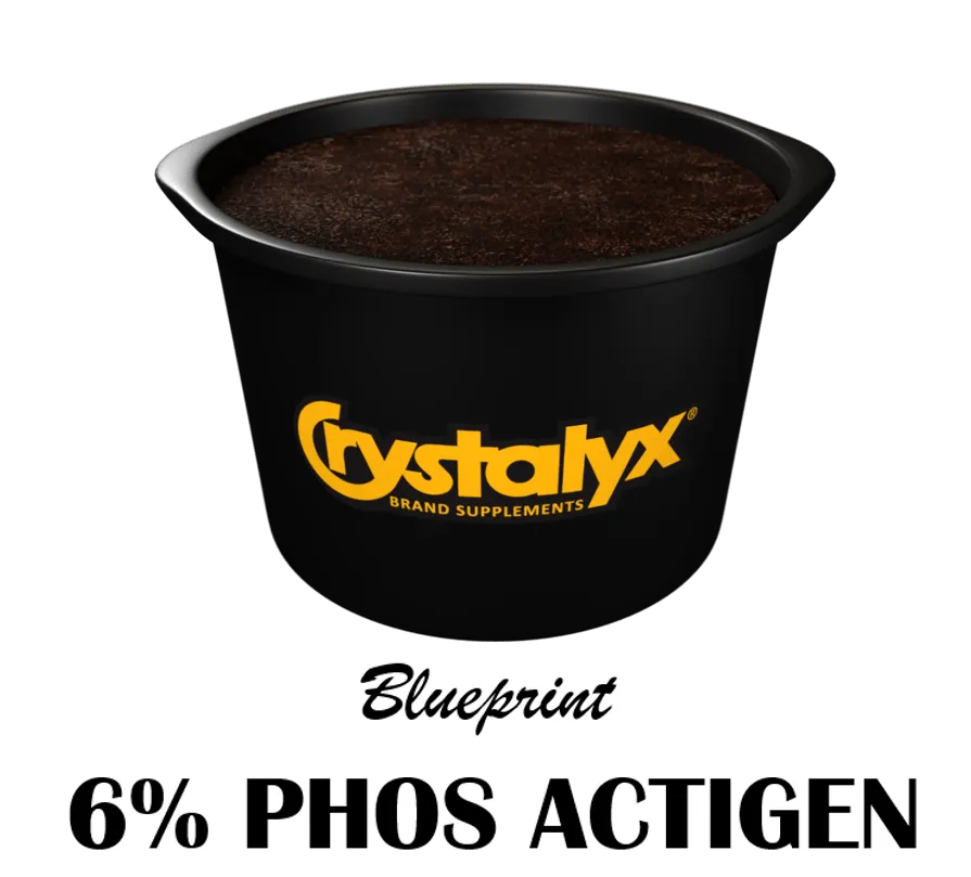 Blueprint 6% Phos with Actigen (90.00 Kg)