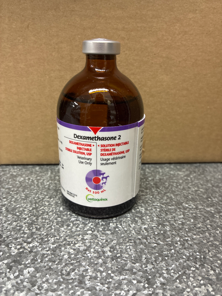 [MED0063] Dexamethasone 2 (100.00 mL)