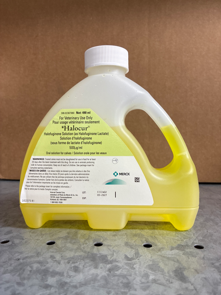 Halocur (490.00 ml)