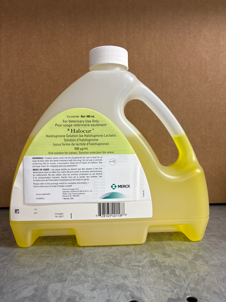 Halocur (980.00 mL)