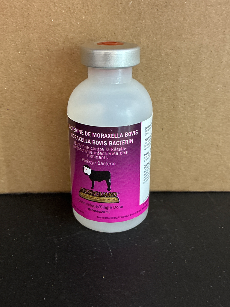 Maxi/Guard Pinkeye Bacterine (10.00 doses)
